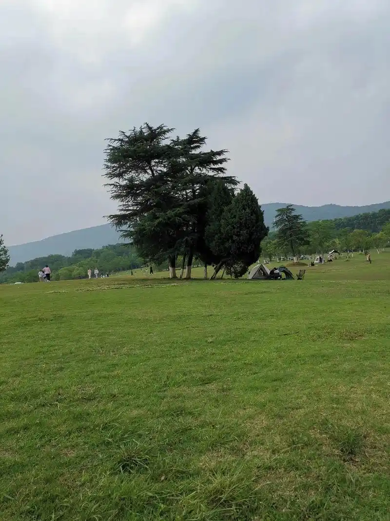 南京紫金山体育公园 - 南京场馆照片