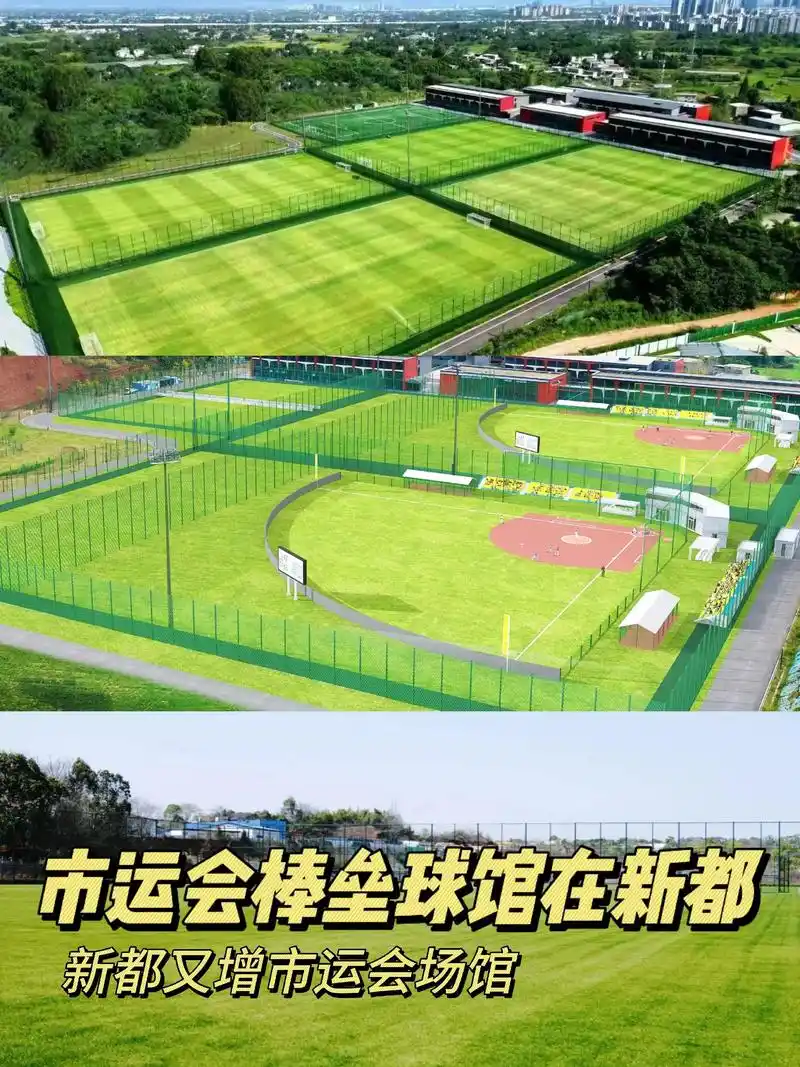 成都棒球运动中心 - 成都场馆照片
