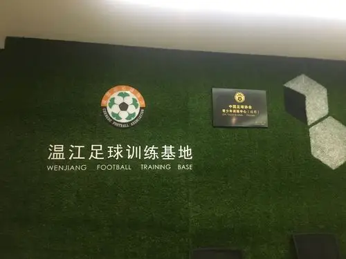 成都足协温江培训基地 - 成都场馆照片