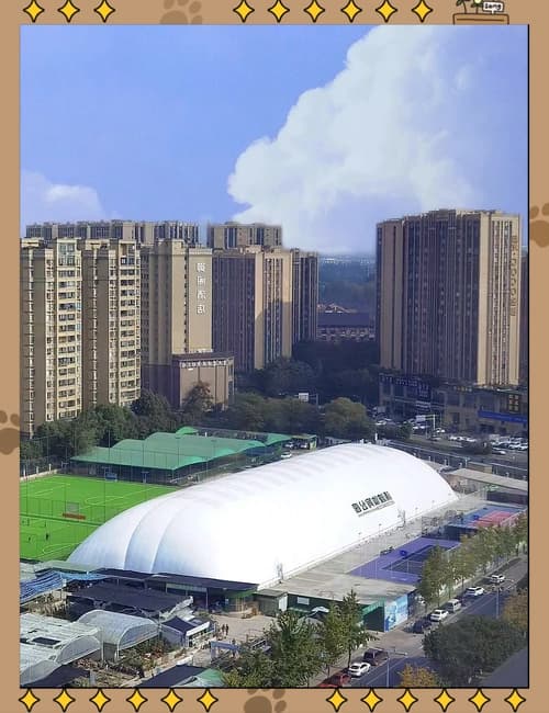 成都青羊区体育中心 - 成都场馆照片