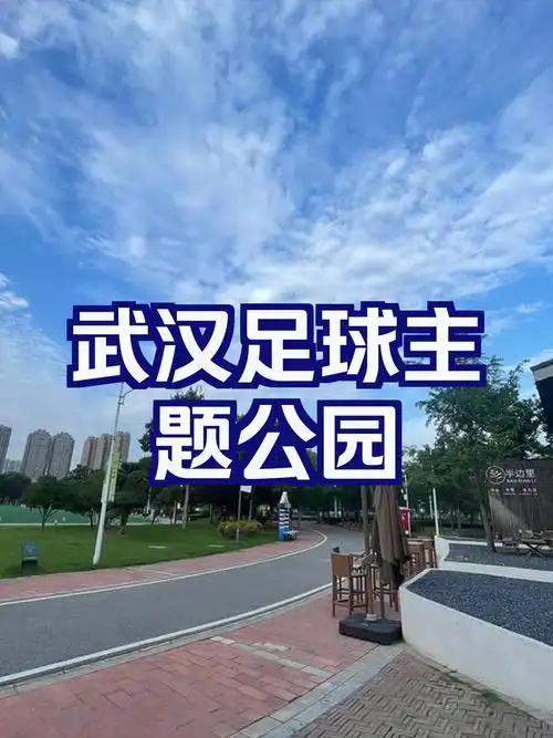 武汉足球公园 - 武汉场馆照片