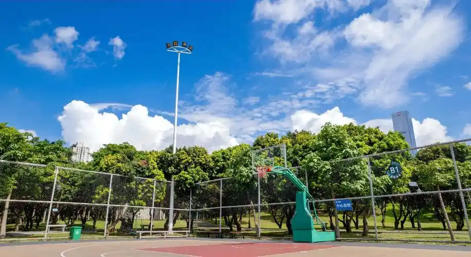 深圳龙华篮球公园 - 深圳场馆照片