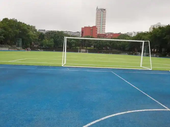 重庆大学足球场 - 重庆场馆照片