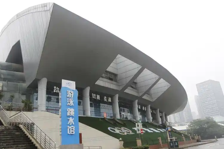重庆奥体中心游泳馆 - 重庆场馆照片