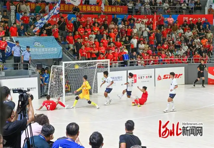 保定业余足球俱乐部主场 - 保定场馆照片