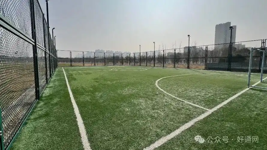 南通足球公园 - 南通场馆照片