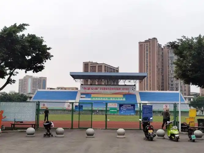 成都崇州体育中心 - 成都场馆照片