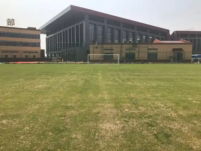 江苏足球俱乐部训练基地 - 南京场馆照片