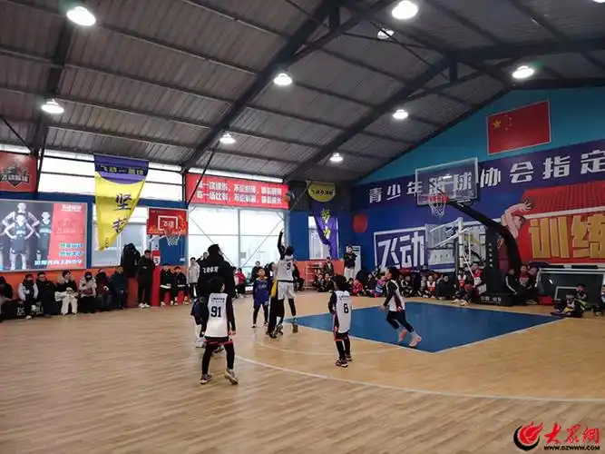 泰安肥城市篮球馆 - 泰安场馆照片