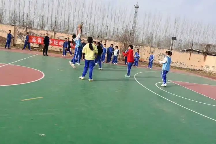 淄博高青县篮球馆 - 淄博场馆照片