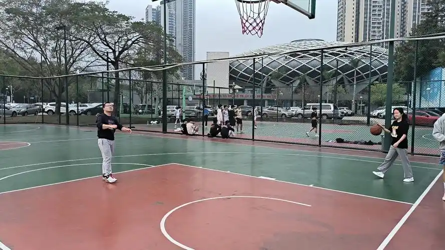 深圳坪山区篮球馆 - 深圳场馆照片