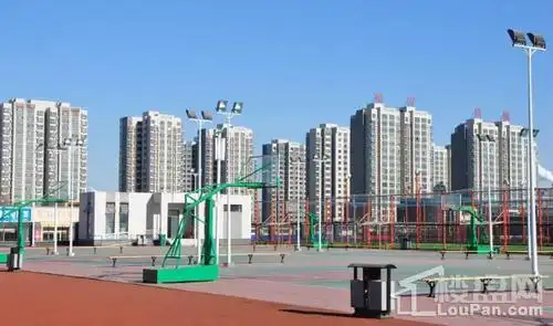 滨州邹平市篮球馆 - 滨州场馆照片