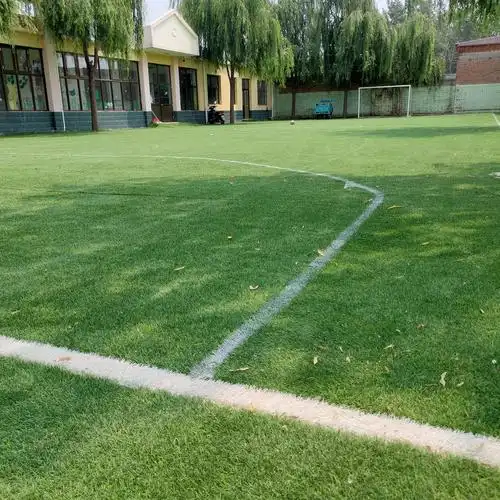 保定唐县足球场 - 保定场馆照片