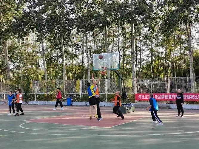 保定学院篮球馆 - 保定场馆照片