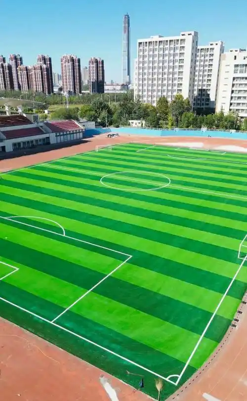 保定定兴县足球场 - 保定场馆照片