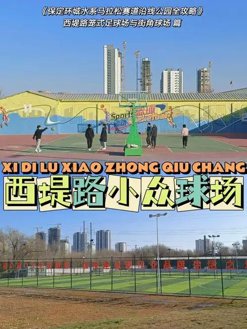 保定足球公园篮球馆 - 保定场馆照片