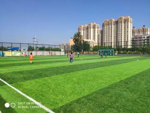 保定顺平县足球场 - 保定场馆照片