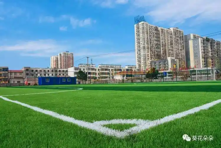 唐山遵化市足球场 - 唐山场馆照片