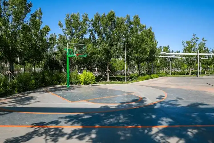 廊坊足球公园篮球馆 - 廊坊场馆照片
