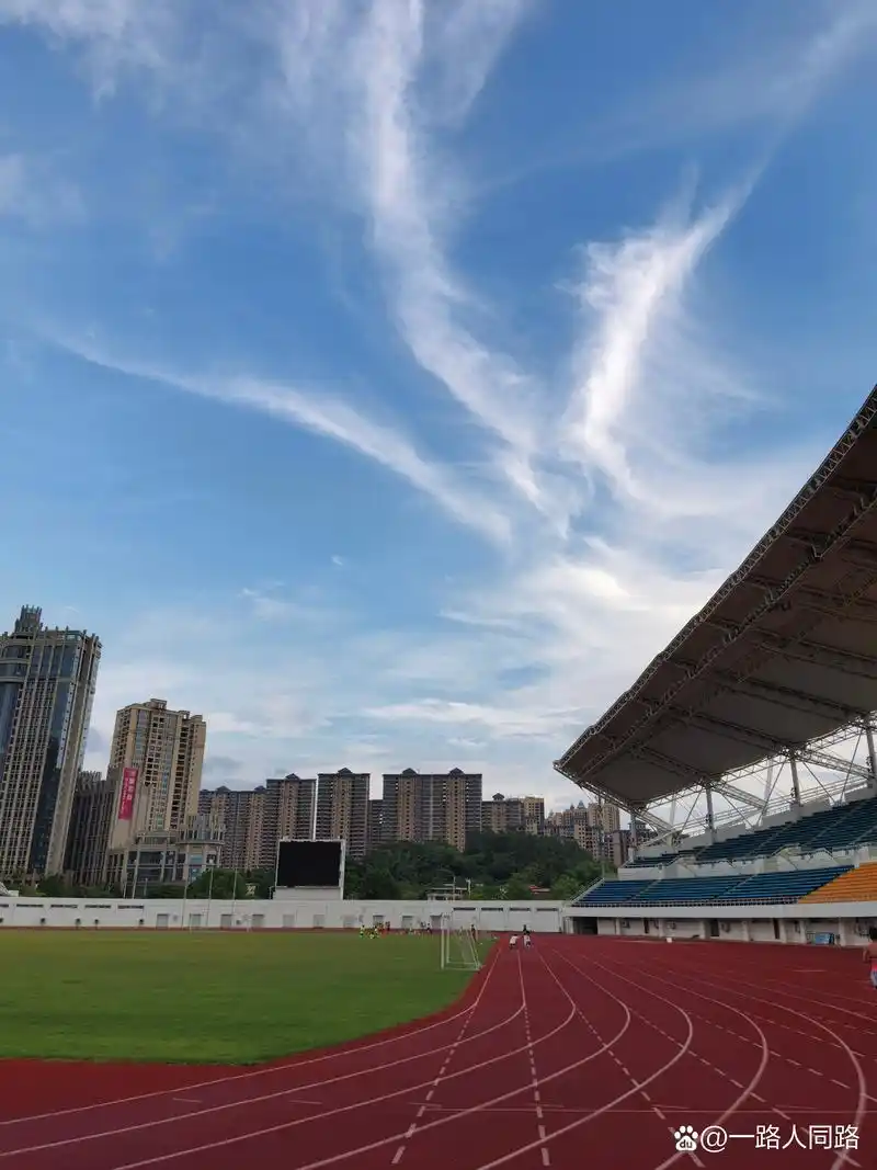 惠州博罗县足球场 - 惠州场馆照片