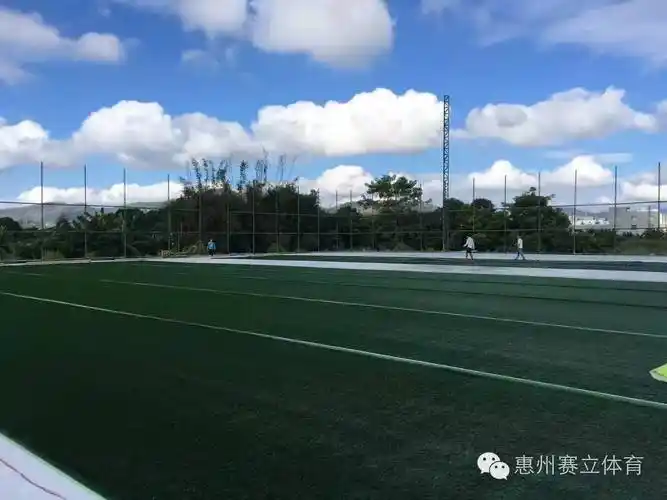 惠州惠阳区足球场 - 惠州场馆照片