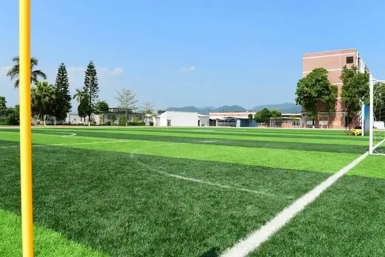 惠州龙门县足球场 - 惠州场馆照片