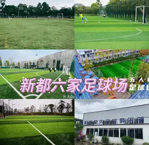 成都新都体育中心足球场 - 成都场馆照片