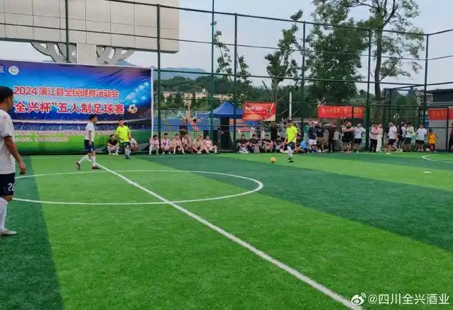 成都蒲江体育中心足球场 - 成都场馆照片