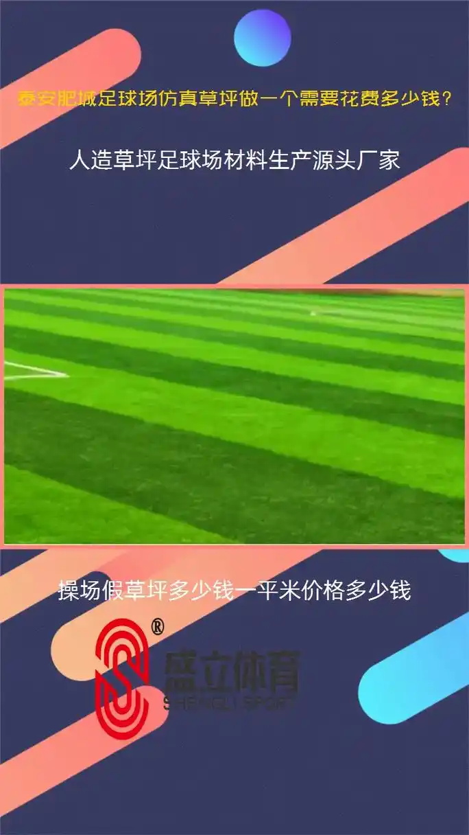 泰安肥城市足球场 - 泰安场馆照片