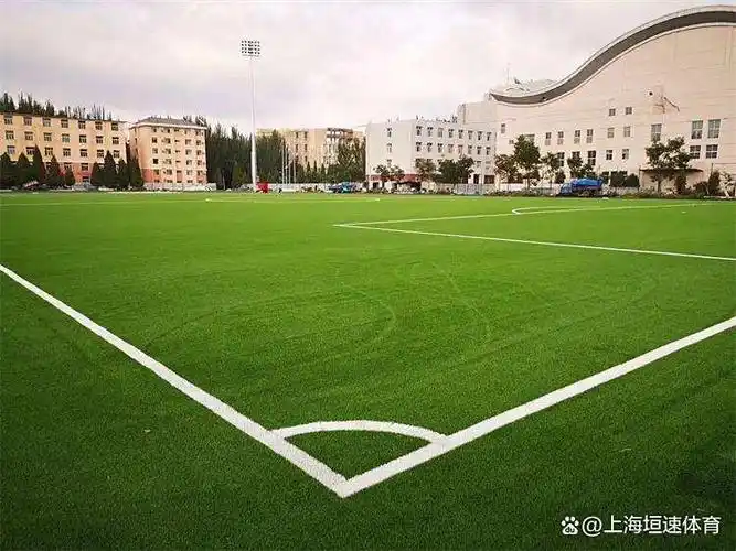 泰州泰兴市足球场 - 泰州场馆照片