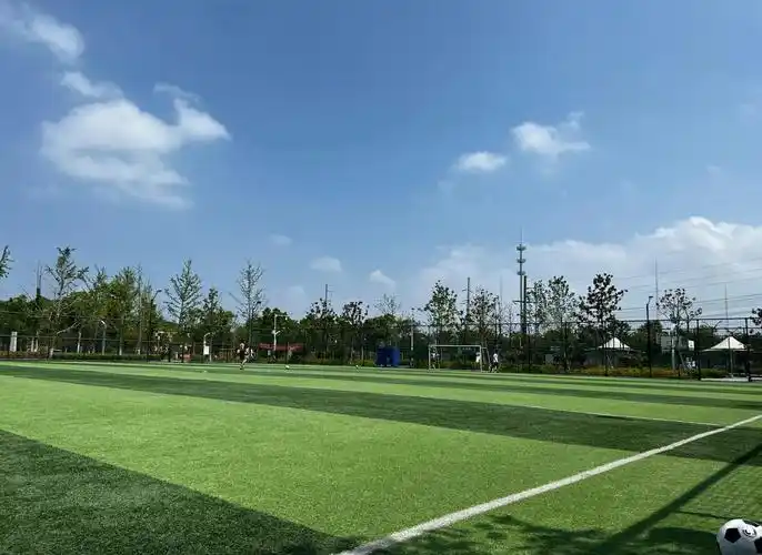 泰州姜堰区足球场 - 泰州场馆照片