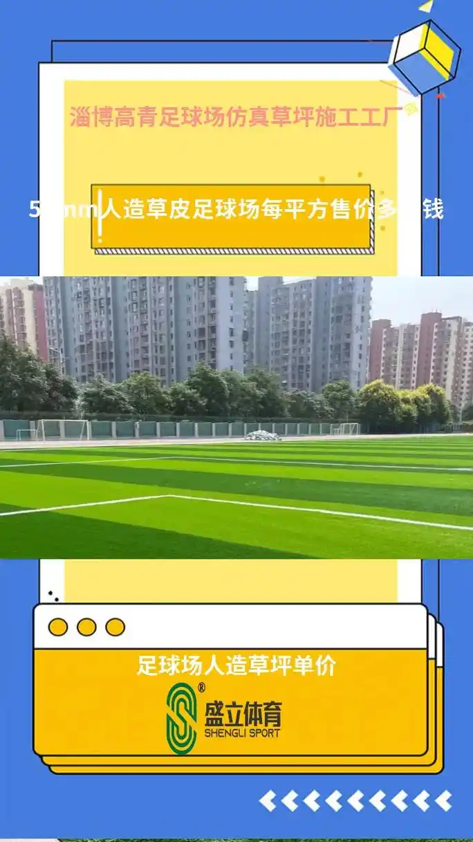 淄博高青县足球场 - 淄博场馆照片
