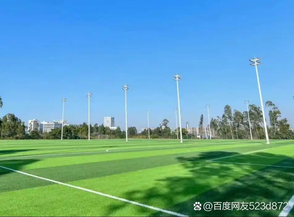 深圳坪山区足球场 - 深圳场馆照片
