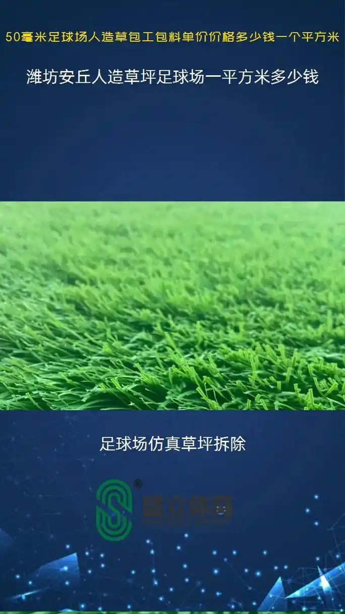 潍坊安丘市足球场 - 潍坊场馆照片