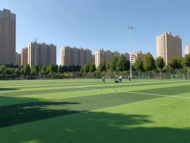 潍坊寒亭区足球场 - 潍坊场馆照片