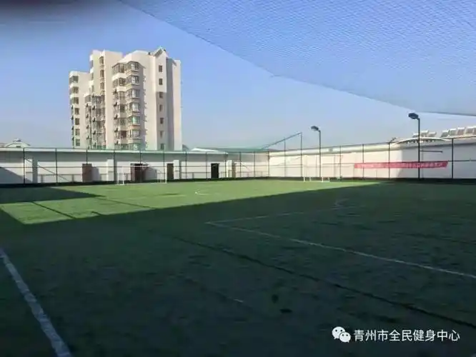 潍坊青州市足球场 - 潍坊场馆照片