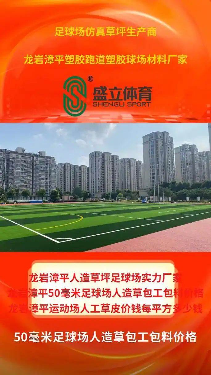 福建龙岩漳平市足球场 - 龙岩场馆照片