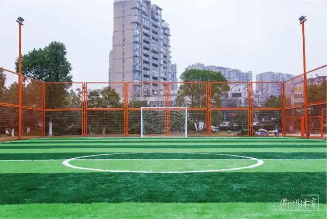 衢州江山市足球场 - 衢州场馆照片