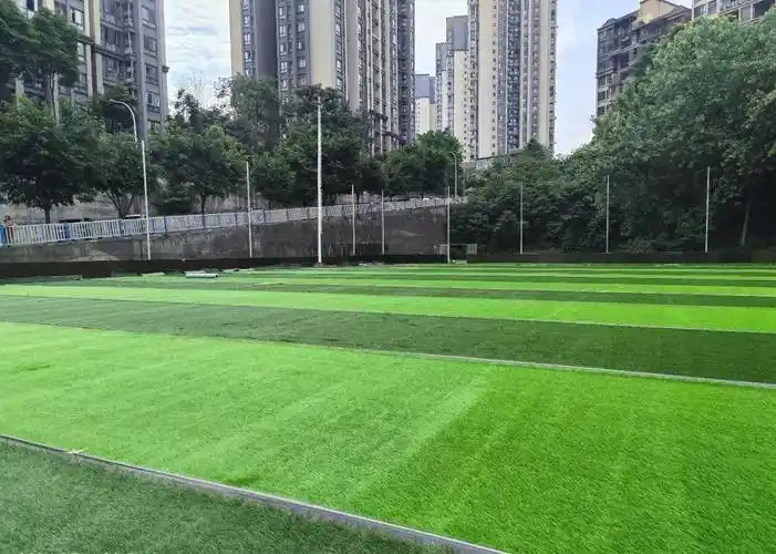 重庆大渡口区足球场 - 重庆场馆照片