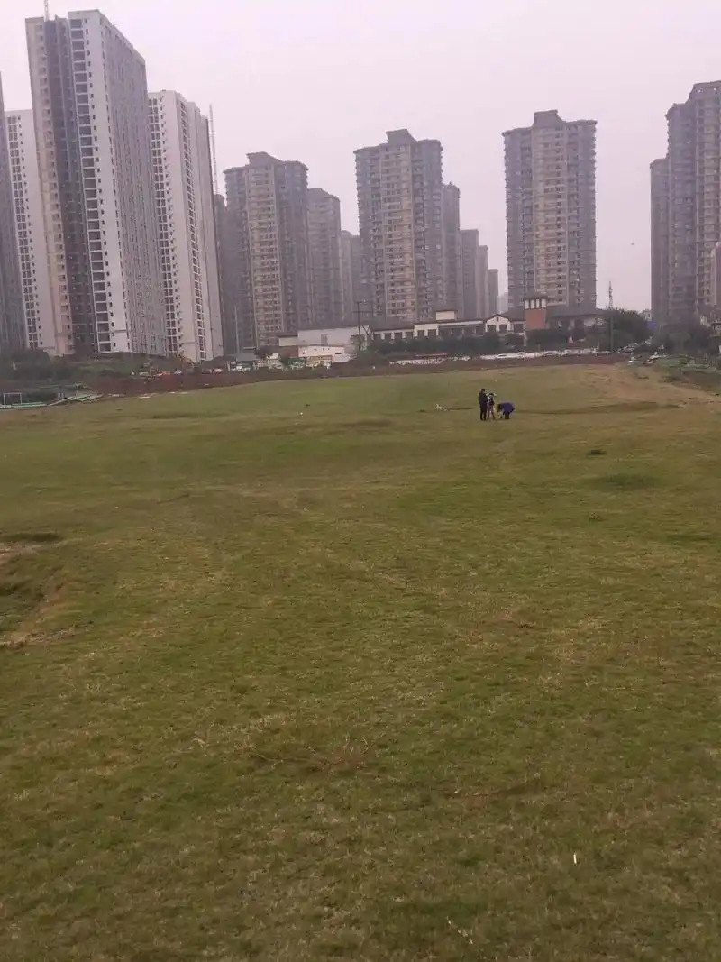 重庆大渡口足球公园 - 重庆场馆照片