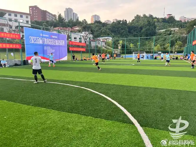 重庆忠县足球场 - 重庆场馆照片