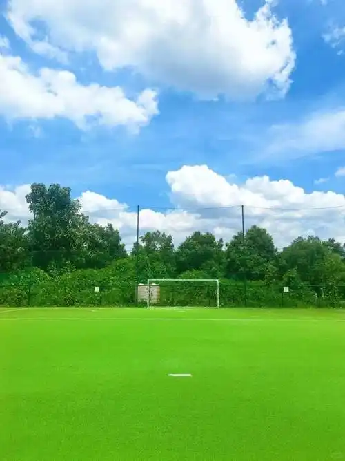 长沙望城区足球场 - 长沙场馆照片