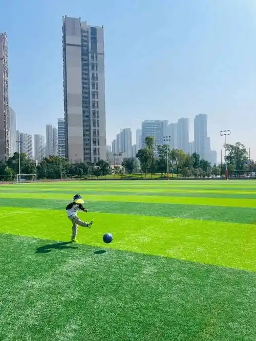 长沙梅溪湖足球场 - 长沙场馆照片
